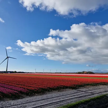 Sea Jewel * Callantsoog
