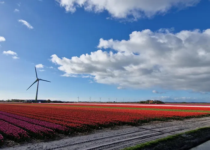 Sea Jewel * Callantsoog